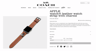 coach-leather-strap-charms-830x415