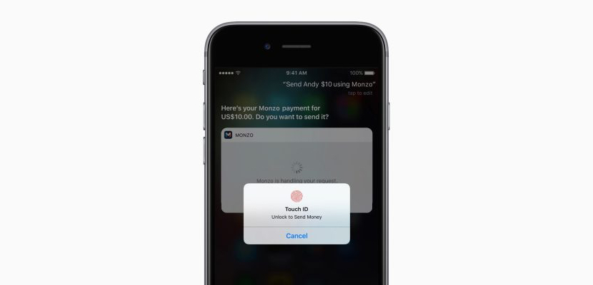 monzo-siri