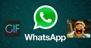 WhatsApp-GIF-1