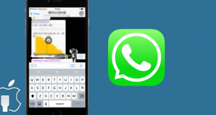 whatsapp-830x400