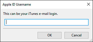 Introducir Apple ID