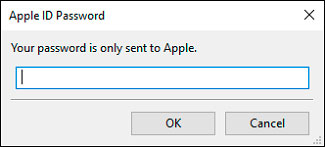 Password Apple ID
