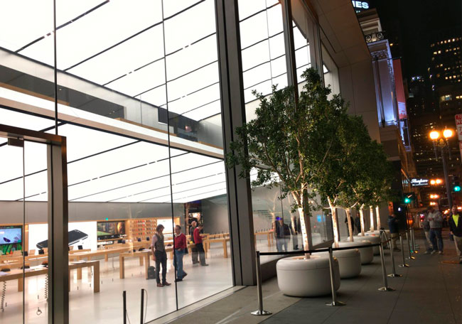 Colas Apple Store