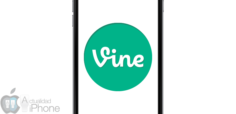 vine