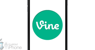 vine-830x400
