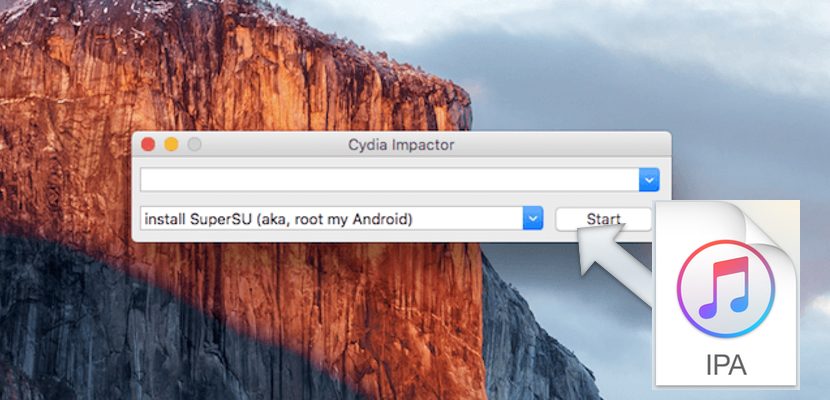 Cydia impactor