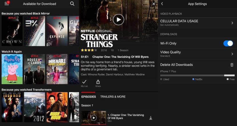 Descargas en Netflix